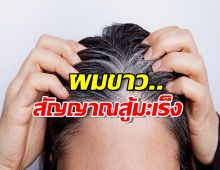 ผมขาวไม่ได้แก่เสมอไป แต่อาจเป็นสัญญาณร่างกาย สู้กับมะเร็ง